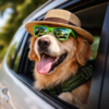 Vacaciones de Semana Santa con tu perro cómo viajar seguro y proteger su bienestar